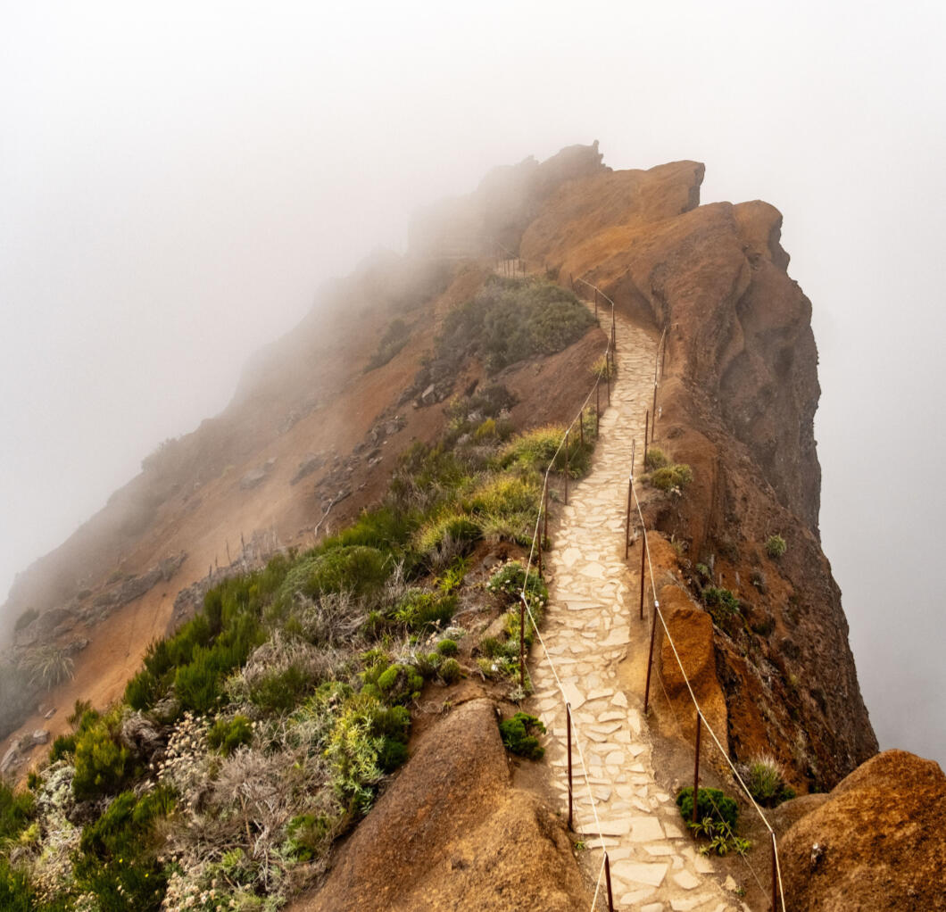 Photo of a clear path